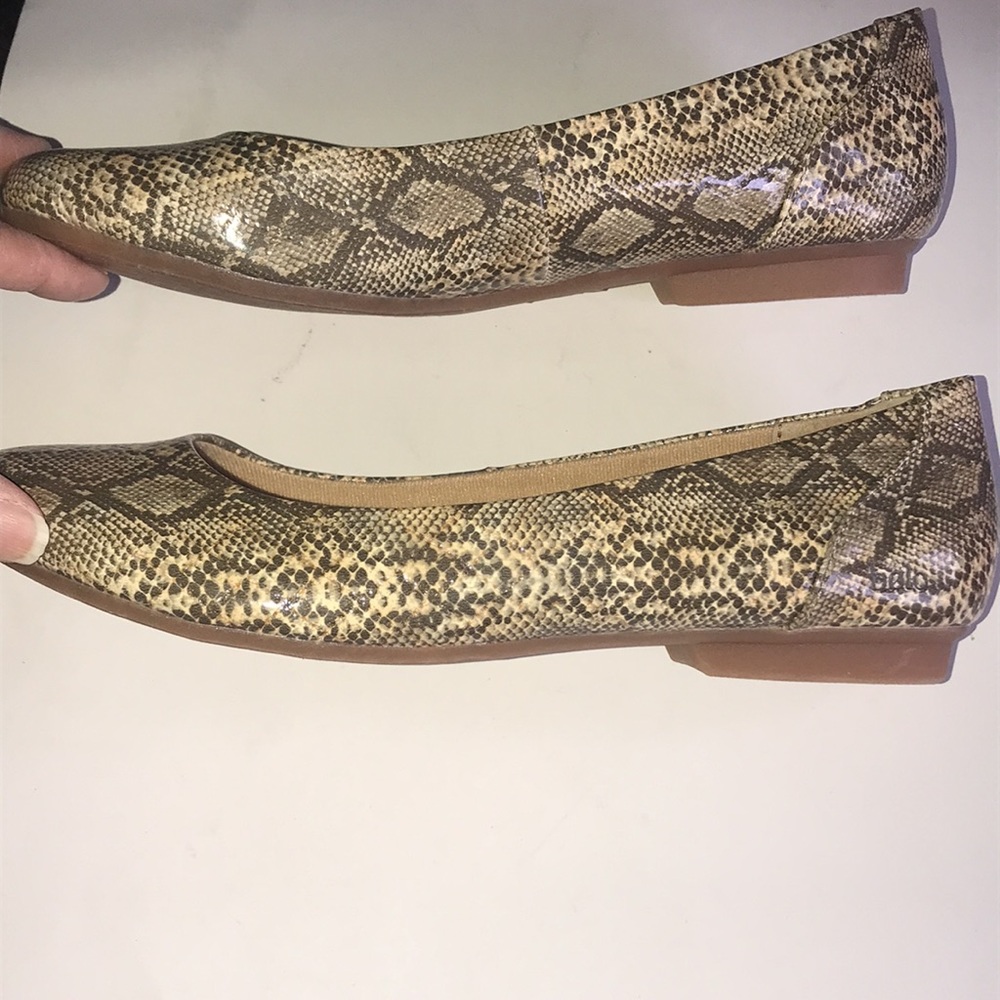 NIB Women’s BOLO Flats - Picture 6 of 8
